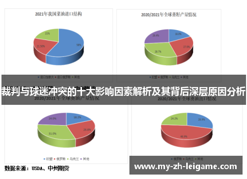 裁判与球迷冲突的十大影响因素解析及其背后深层原因分析