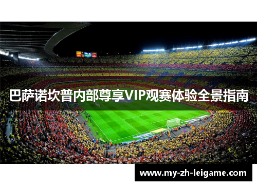 巴萨诺坎普内部尊享VIP观赛体验全景指南