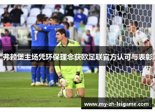 弗赖堡主场凭环保理念获欧足联官方认可与表彰 弗赖堡主场凭环保理念获欧足联官方认可与表彰